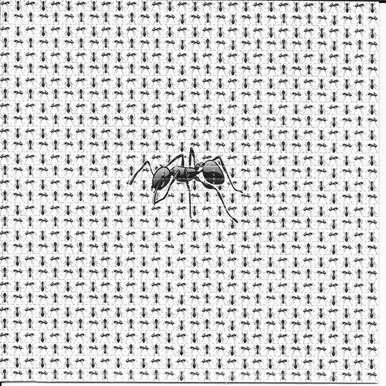 Ink Blotter Paper - Formigas animais psicodélicos lsd ácido livre